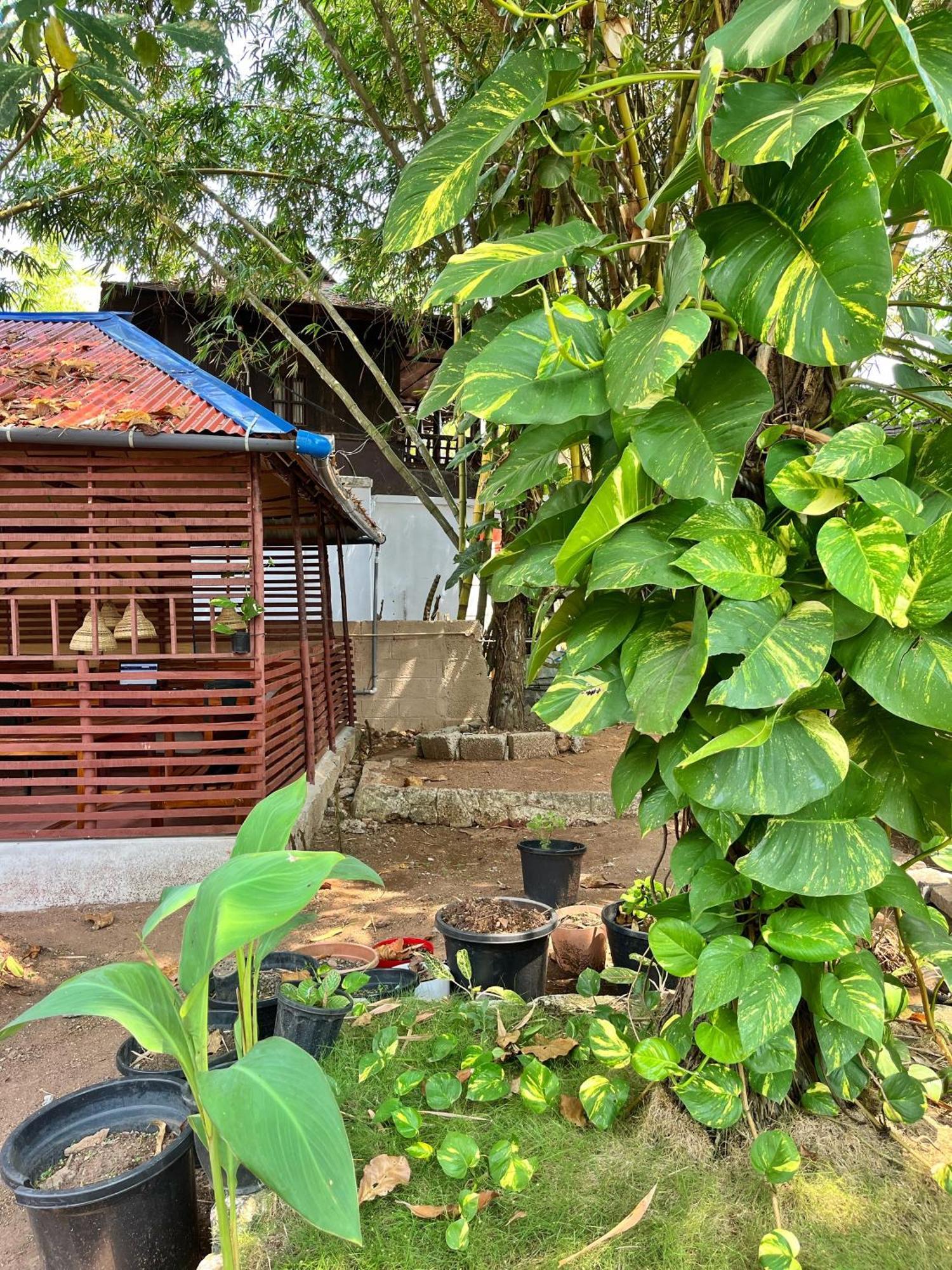 Bava Beach Resort & Retreat Center バルカラ エクステリア 写真